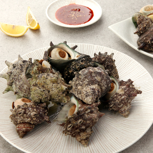 통영 뿔소라 1kg(7~14미 내외)